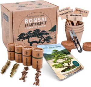 Bonsai Starters Kit met Uitgebreide Instructies cadeau